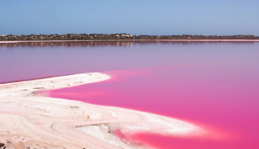 Pink lake -Senegal