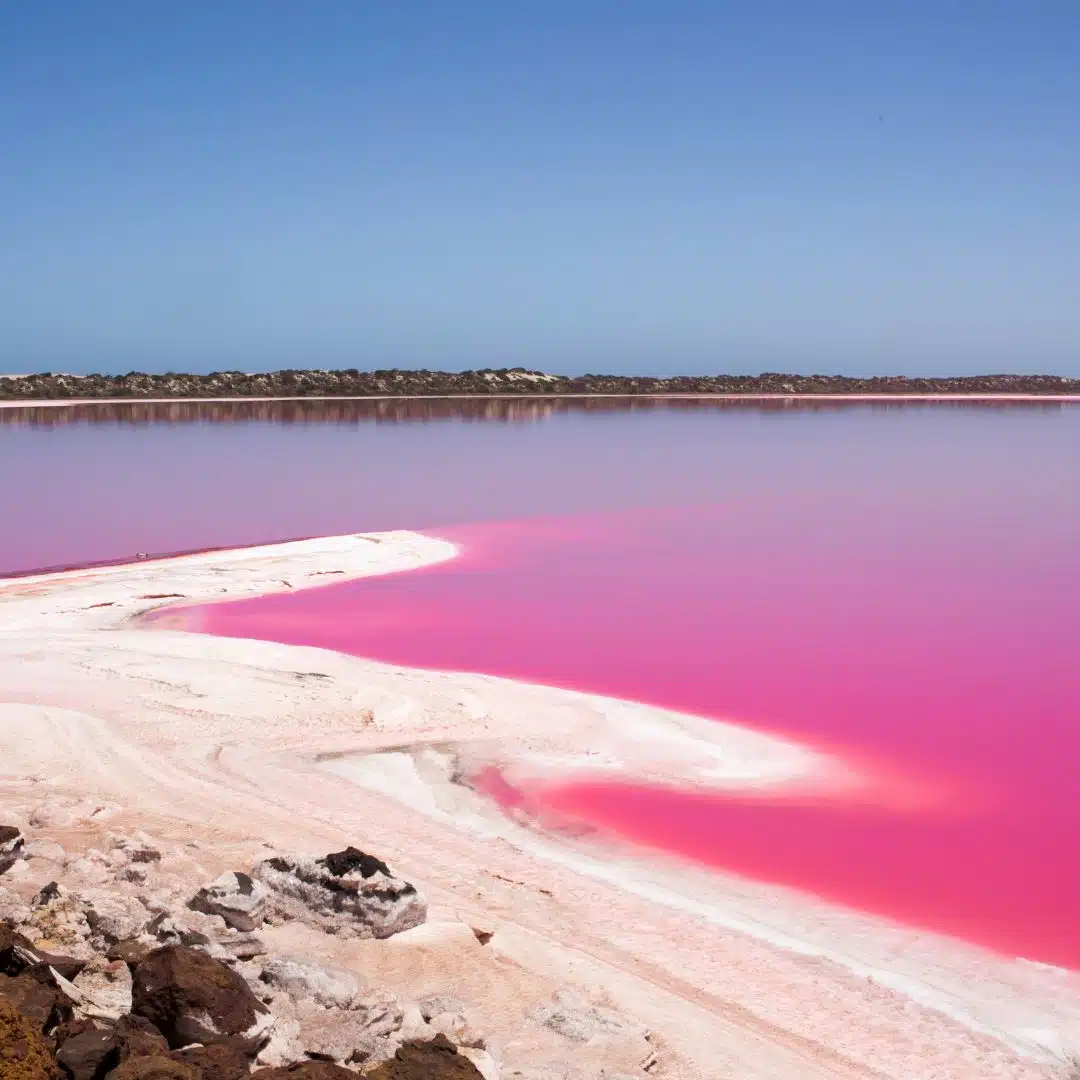 Pink lake -Senegal