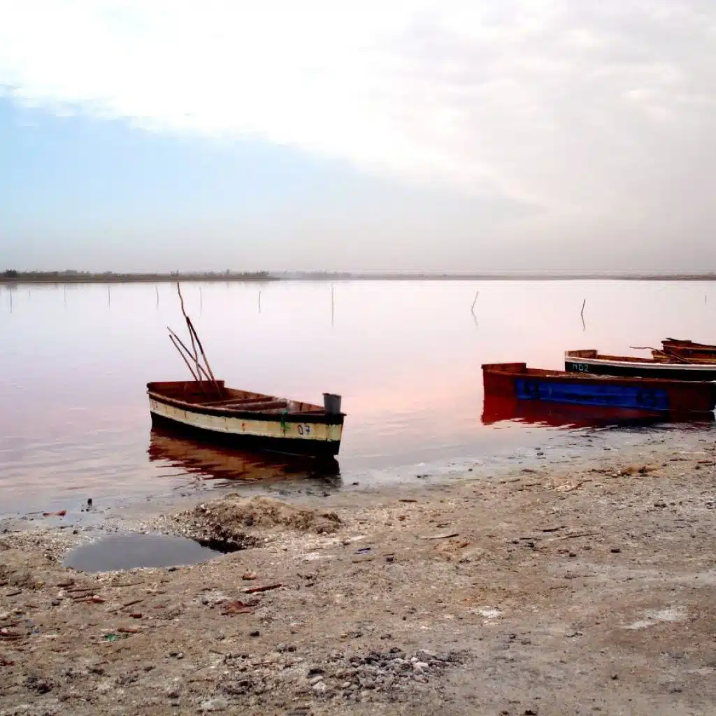 Pink lake -Senegal (3)