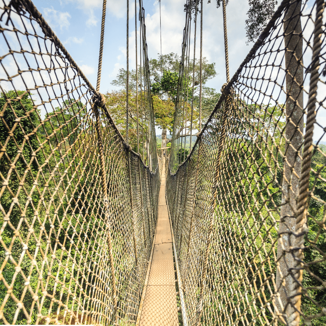 Day 8: Kakum Canopy Walk & Naming Ceremony