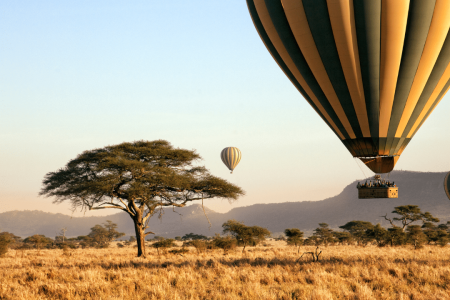 Top 5 African Safari Parks