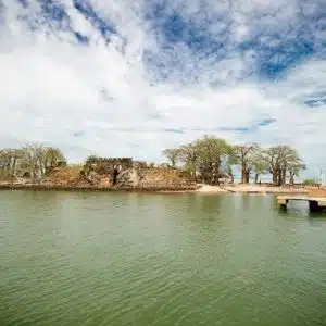 Kunta Kinteh Island2